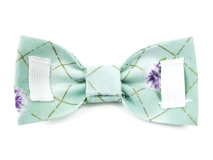 Bowtie Collar | Beachy