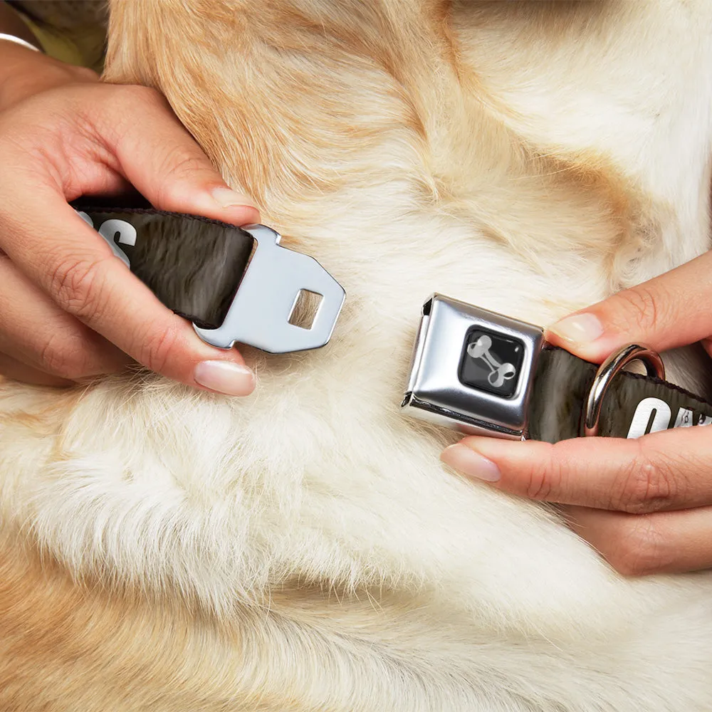 Buckle-Down Seatbelt Buckle Dog Collar - ONE OF US HAS HAIRY LEGS/Fur Tan/White