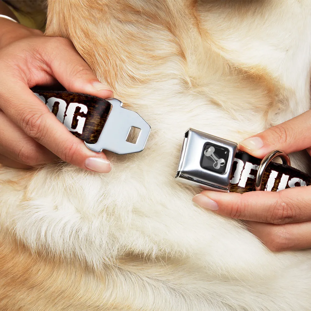 Buckle-Down Seatbelt Buckle Dog Collar - ONE OF US IS A DIRTY DOG/Fur Brown/White