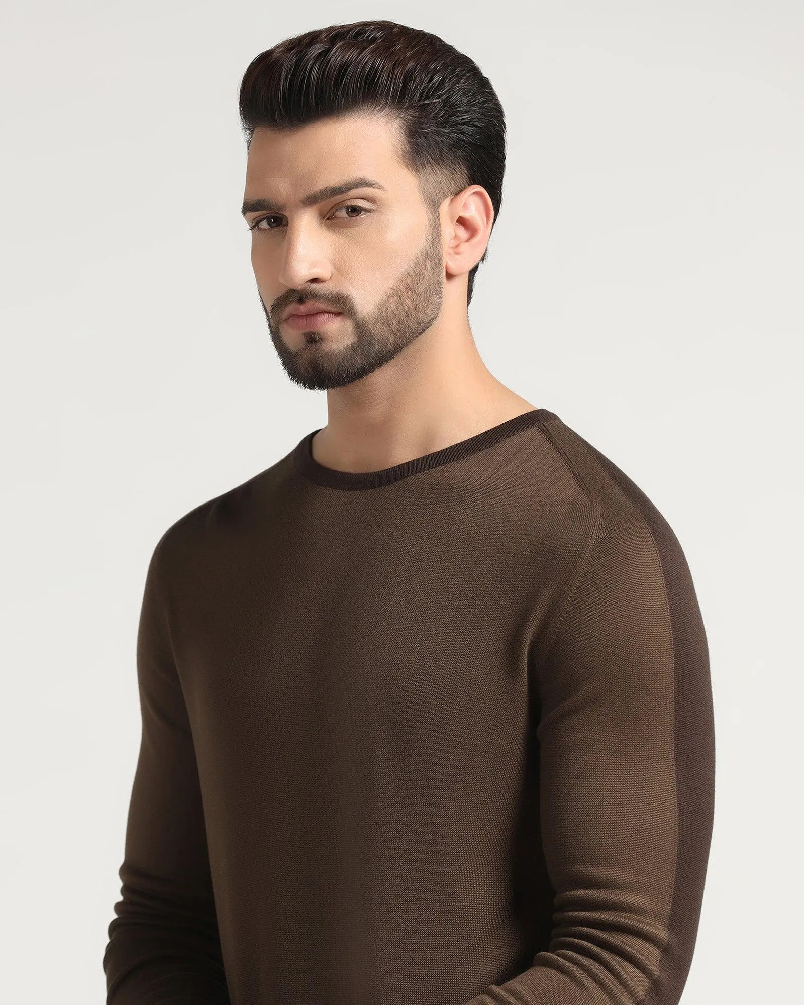 Crew Neck Brown Solid Sweater - Joseph