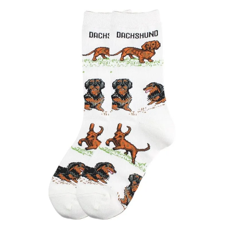 Cute Dachshund Socks