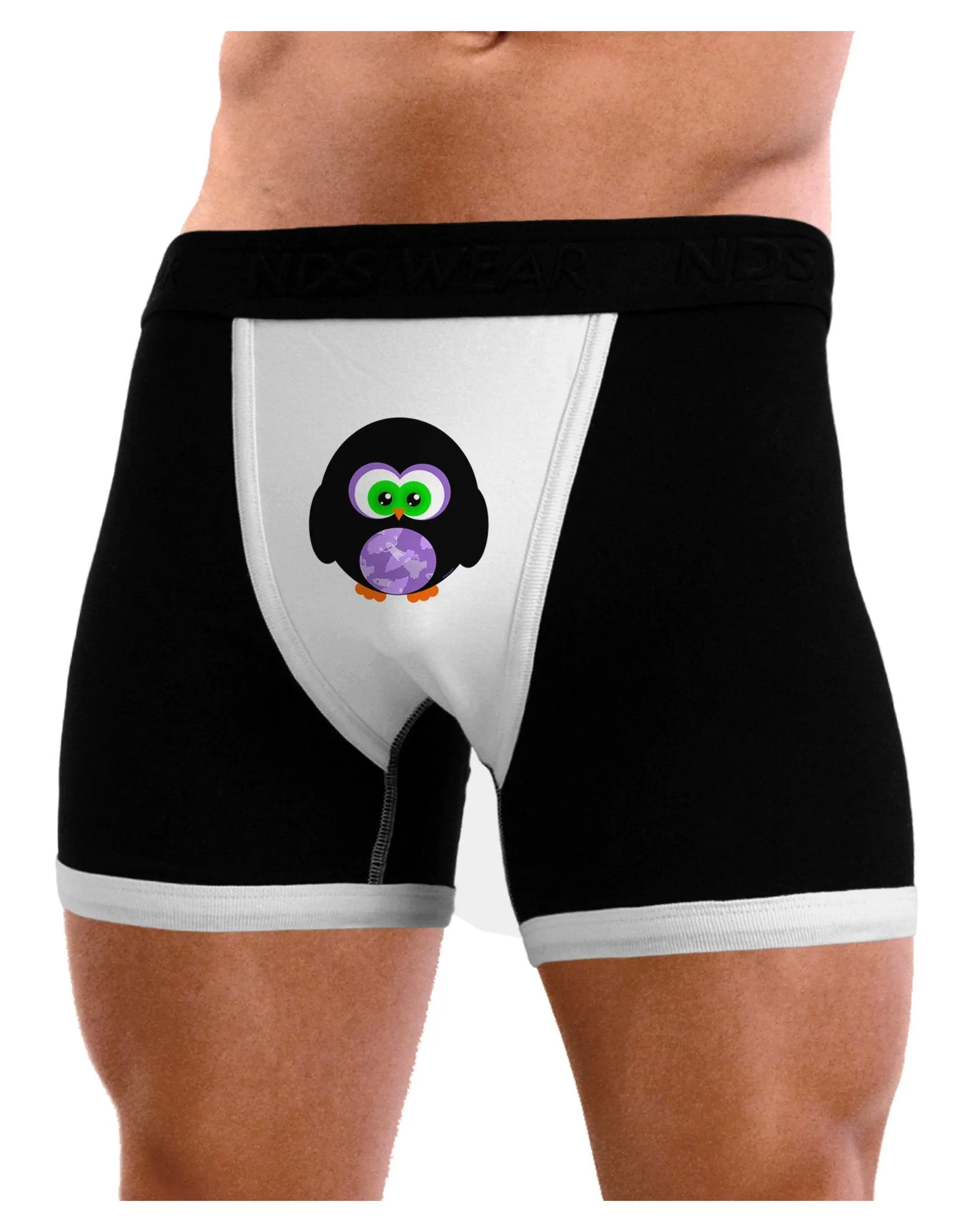 Cute Owl Halloween Mens Boxer Brief Underwear