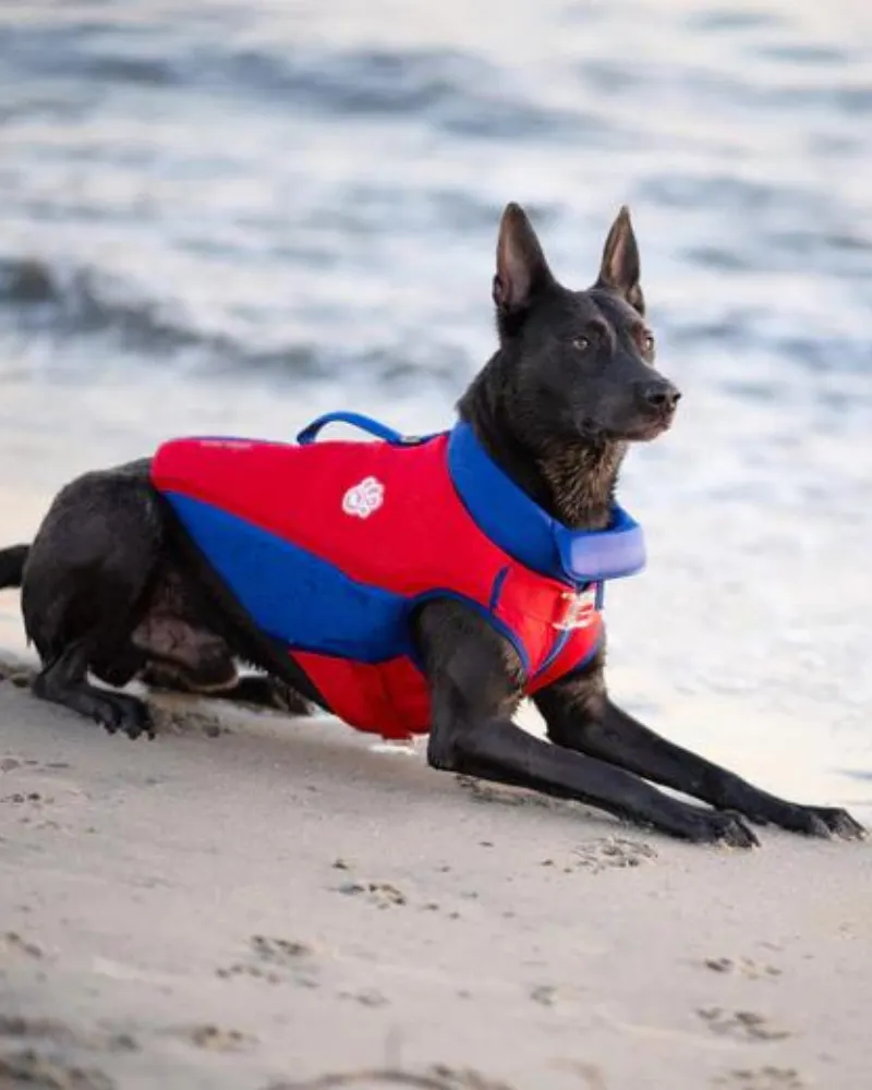 High Tide Dog Life Jacket in Blue & Red (FINAL SALE)