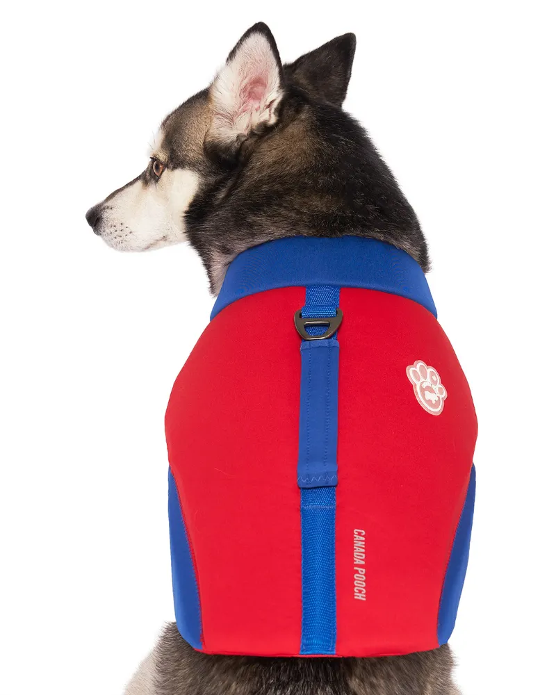 High Tide Dog Life Jacket in Blue & Red (FINAL SALE)