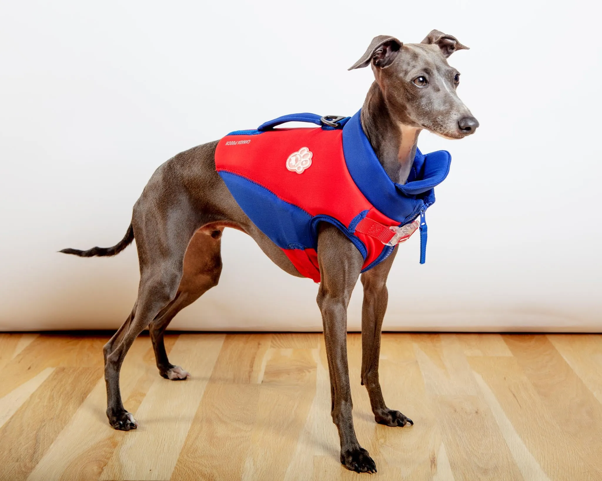 High Tide Dog Life Jacket in Blue & Red (FINAL SALE)