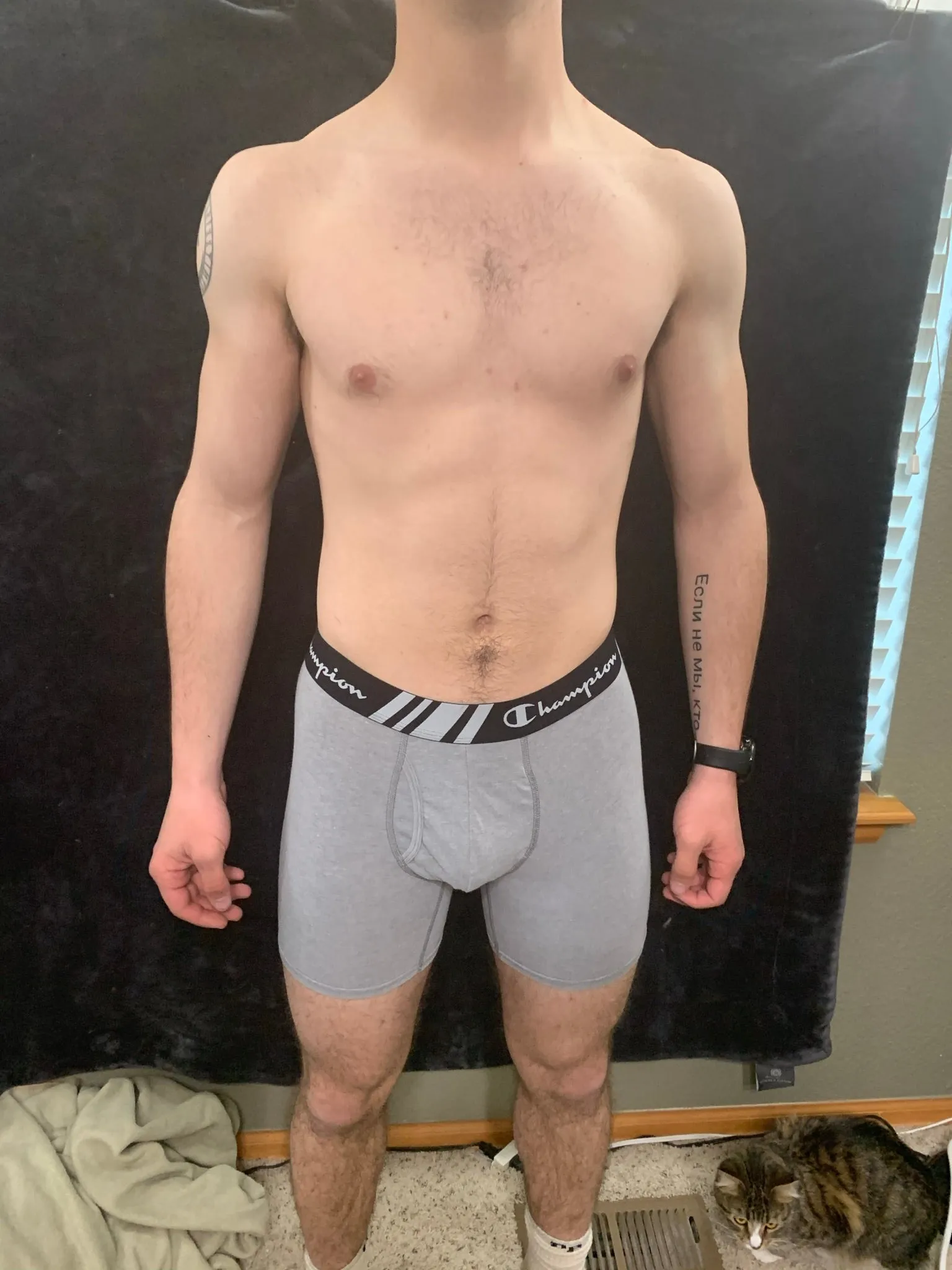 Men's Champion Boxer Briefs Black or Gray