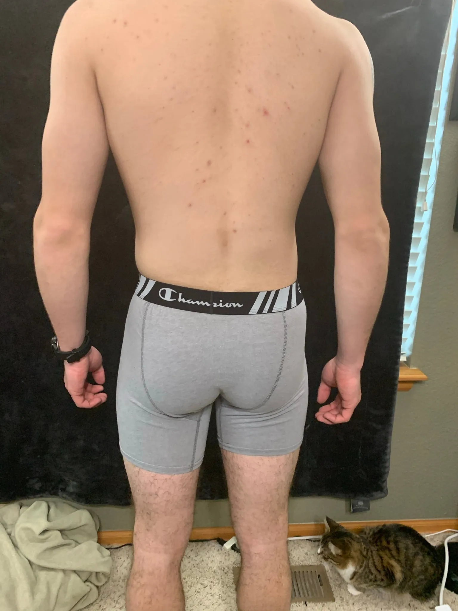 Men's Champion Boxer Briefs Black or Gray