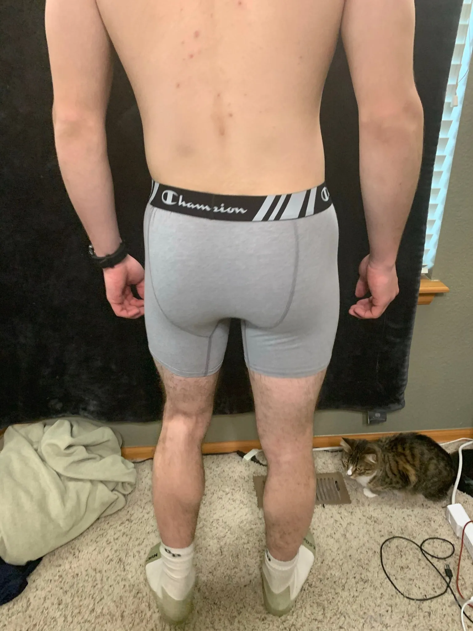 Men's Champion Boxer Briefs Black or Gray