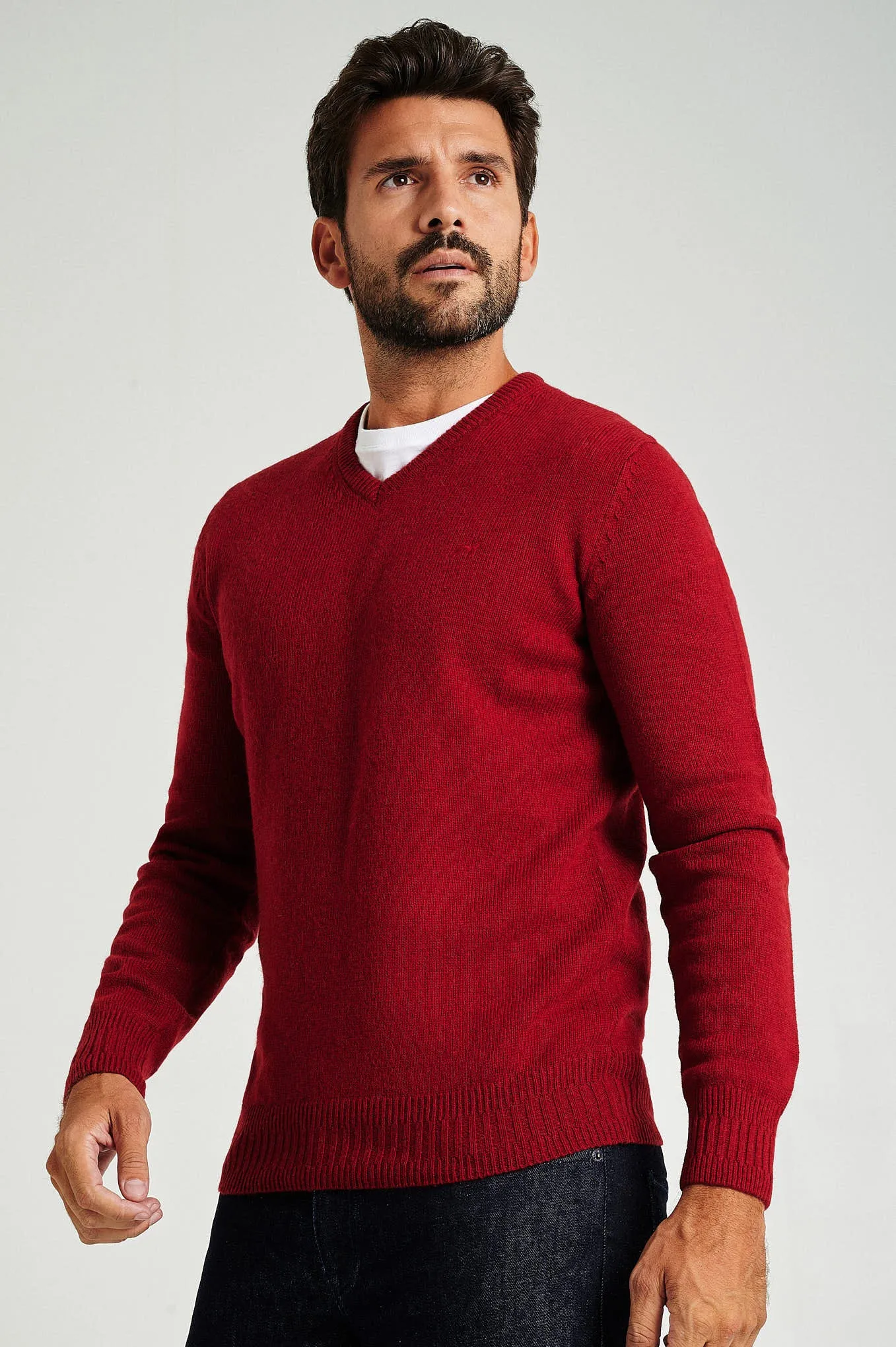 Men's machine washable V neck sweater