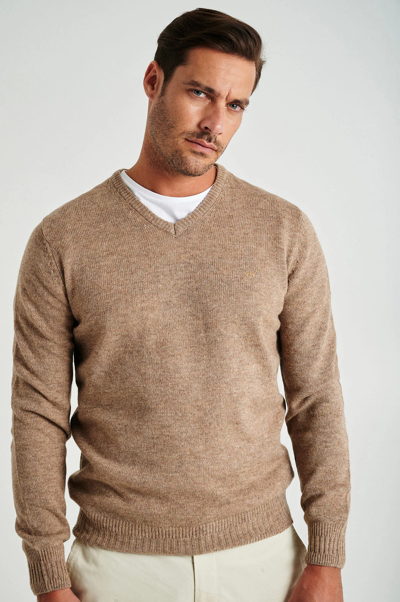 Men's machine washable V neck sweater