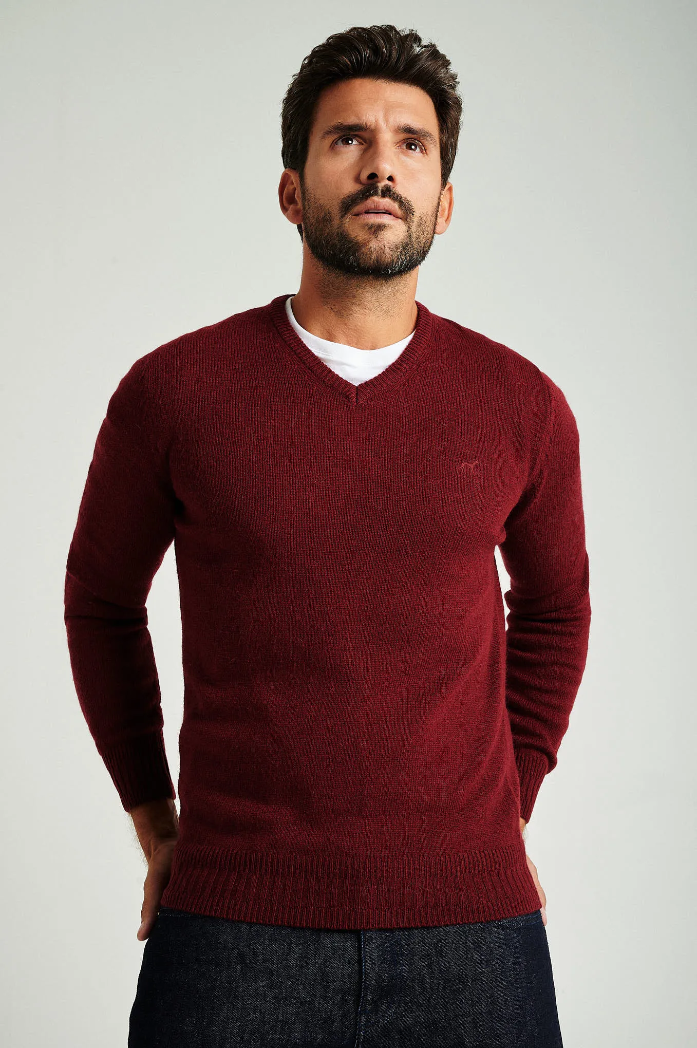 Men's machine washable V neck sweater