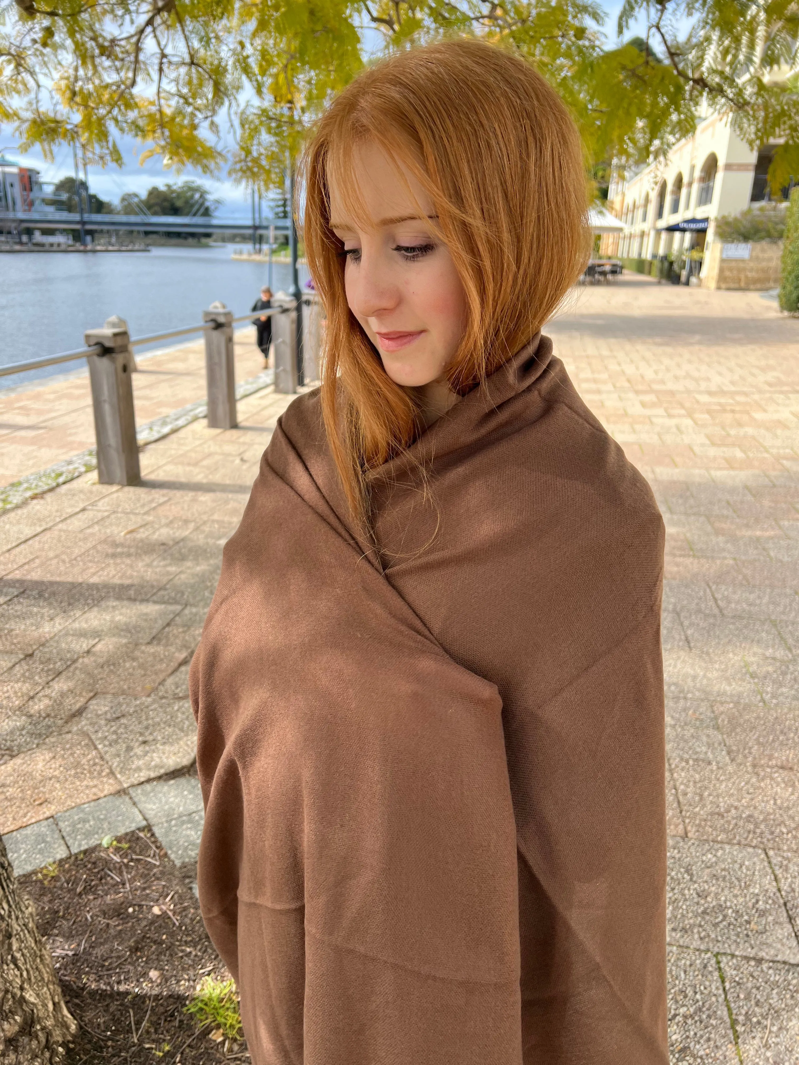 Pashmina Cashmere Shawl - Brown