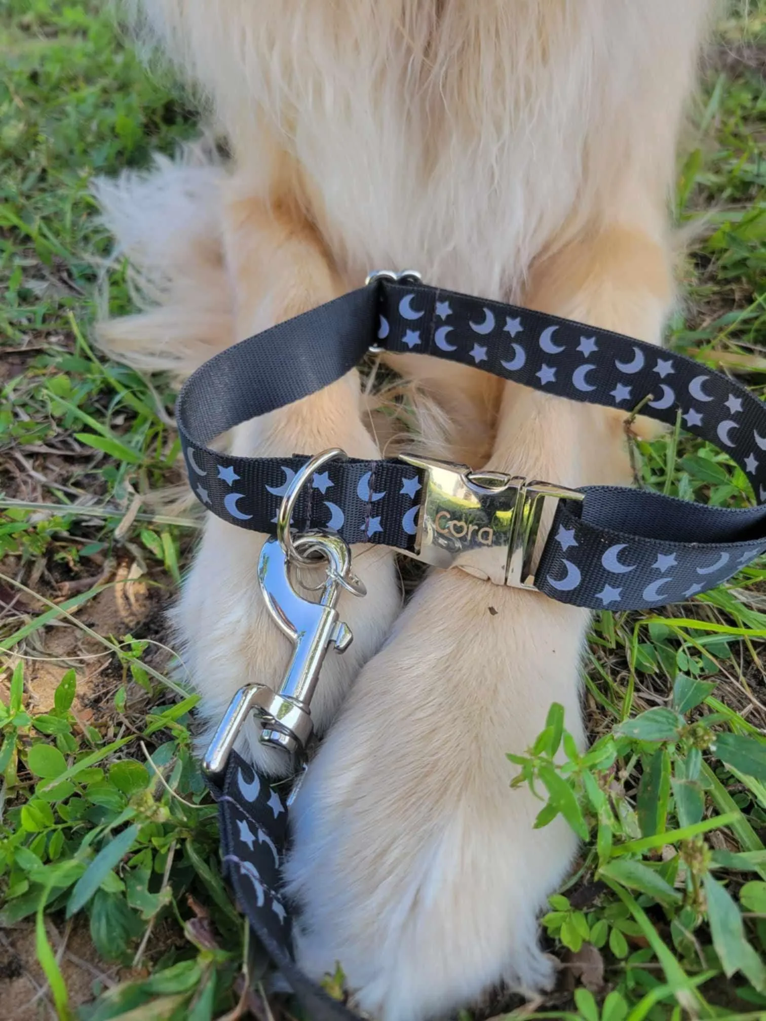 Reflective Dog collar, Cat Collar, Moon Cat collar, Moon and stars, Galaxy, Space, Witchy collar, High Vis reflect, Safety collar,