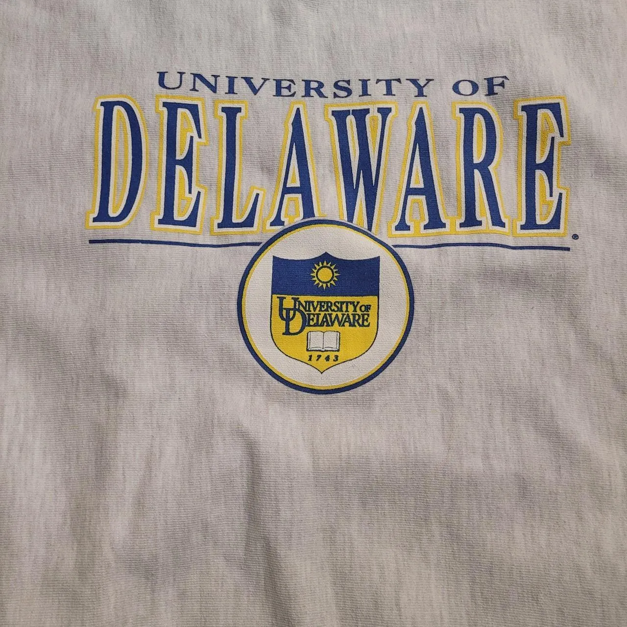 REVERSE WEAVE UNIVERSITY OF DELAWARE CHAMPION CREWNECK