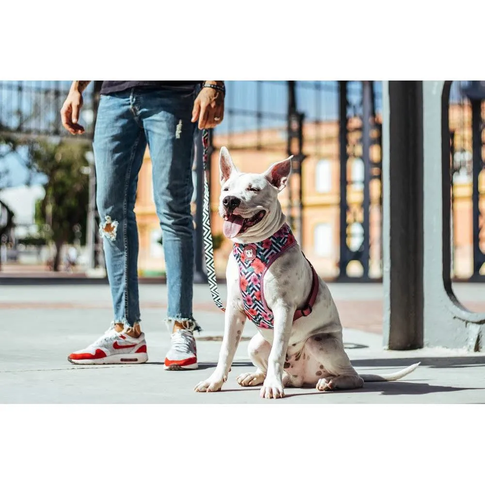 Zee.Dog Mahalo Air Mesh Plus Dog Harness